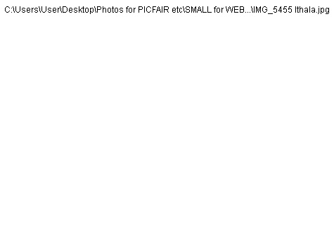 wp2eeb3635_0f.jpg