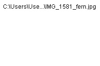 wp33cbec8d_0f.jpg