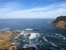 wp5045006b_0f.jpg